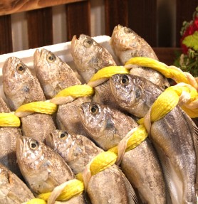 충남태안 한입참굴비 3팩(1팩당 5미/16~18cm)