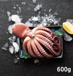 법계수산 참문어 600g