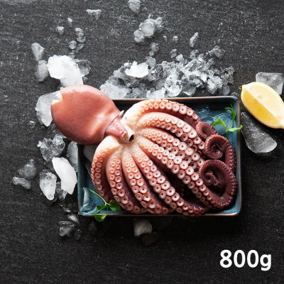 법계수산 참문어 800g