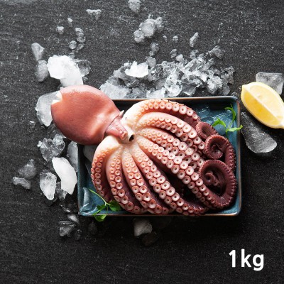 법계수산 참문어 1kg