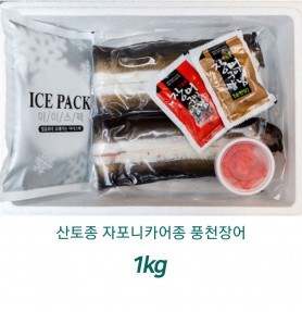 산토종 자포니카어종 고창풍천장어 1kg