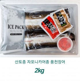 산토종 자포니카어종 고창풍천장어 2kg