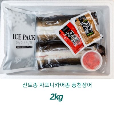 산토종 자포니카어종 고창풍천장어 2kg