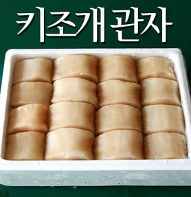서해안 자연산 키조개관자[급냉] 1kg(20~26마리내외)