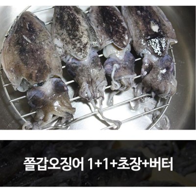 쫄갑오징어 1+1+초장+버터