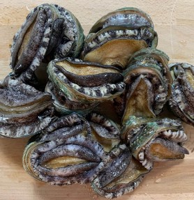 가정용 활 실속전복 1kg (25미내외)