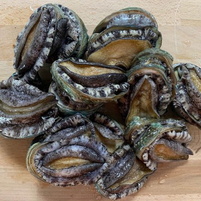 가정용 활 실속전복 1kg (25미내외)