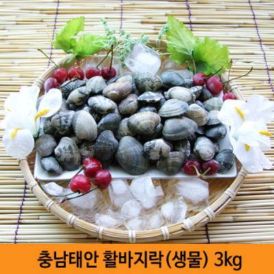 충남태안 활바지락[생물] 3kg