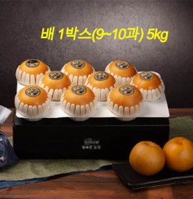[20년 추석] 행복한 농장 나주배 명작 선물세트 (9~10과) 5kg