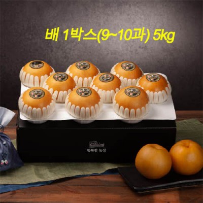 [20년 추석] 행복한 농장 나주배 명작 선물세트 (9~10과) 5kg